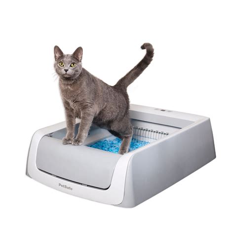self cleaning litter boxes for cats.